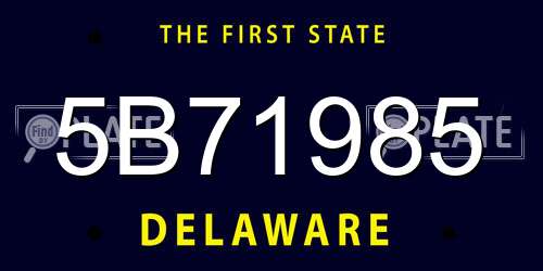 5B71985 Delaware License Plate