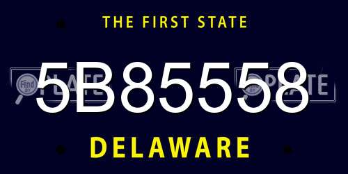 5B85558 Delaware License Plate