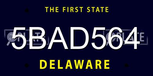 5BAD564 Delaware License Plate