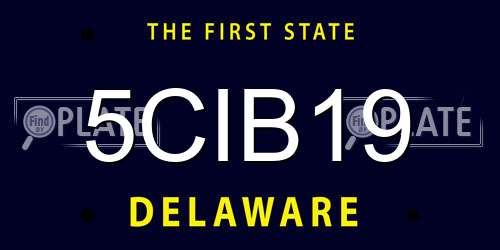5CIB19 Delaware License Plate