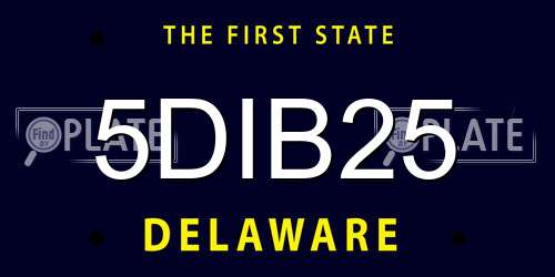 5DIB25 Delaware License Plate