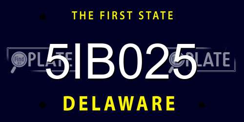 5IB025 Delaware License Plate