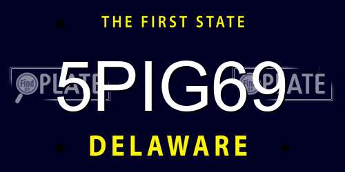 5PIG69 Delaware License Plate