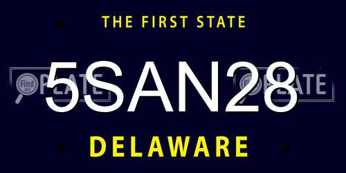 5SAN28 Delaware License Plate