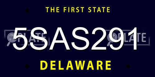 5SAS291 Delaware License Plate