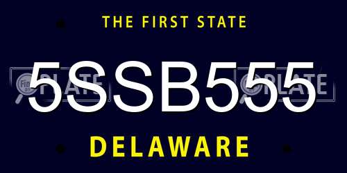 5SSB555 Delaware License Plate