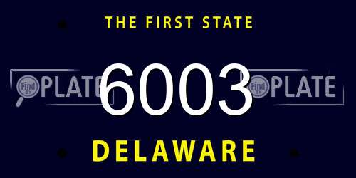 6003 Delaware License Plate