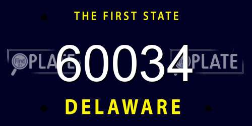 60034 Delaware License Plate