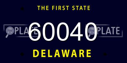60040 Delaware License Plate
