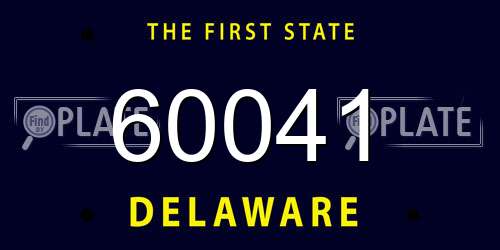 60041 Delaware License Plate