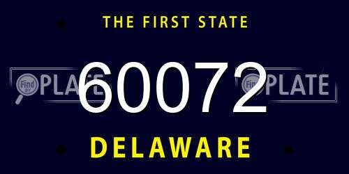 60072 Delaware License Plate
