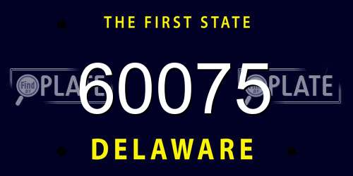 60075 Delaware License Plate