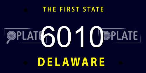 6010 Delaware License Plate