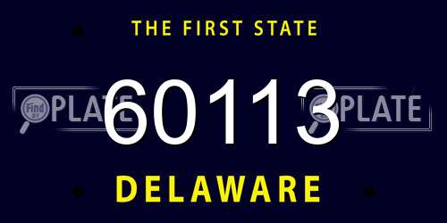 60113 Delaware License Plate