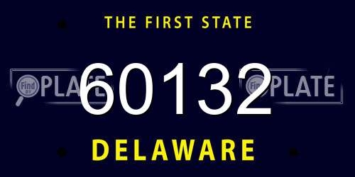60132 Delaware License Plate