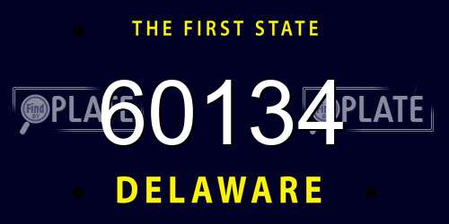 60134 Delaware License Plate