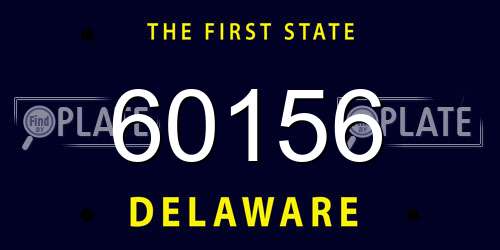 60156 Delaware License Plate