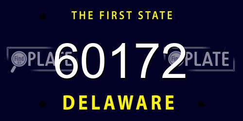 60172 Delaware License Plate