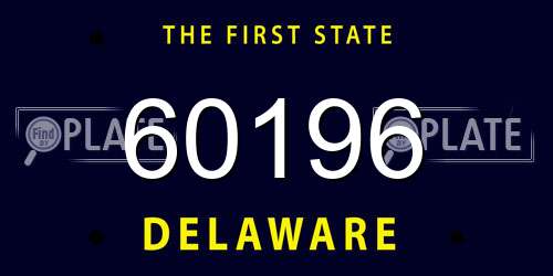 60196 Delaware License Plate