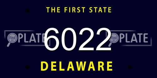 6022 Delaware License Plate