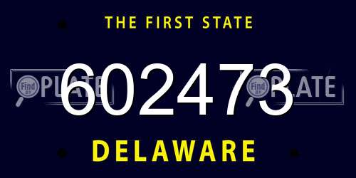 602473 Delaware License Plate