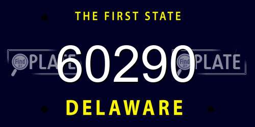 60290 Delaware License Plate