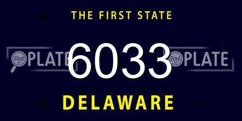 6033 Delaware License Plate