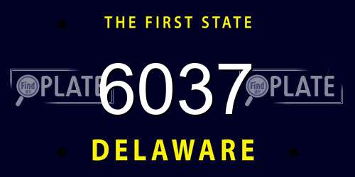6037 Delaware License Plate