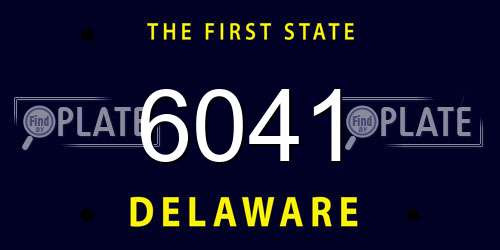 6041 Delaware License Plate