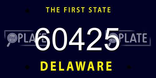 60425 Delaware License Plate