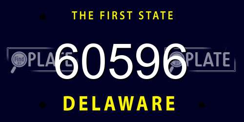 60596 Delaware License Plate