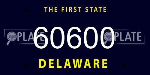 60600 Delaware License Plate