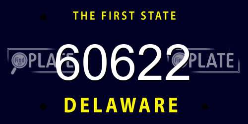 60622 Delaware License Plate