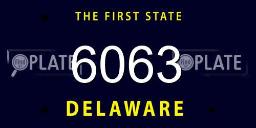 6063 Delaware License Plate