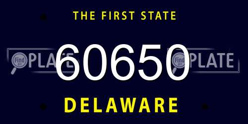 60650 Delaware License Plate
