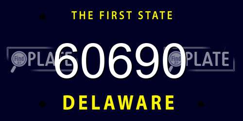 60690 Delaware License Plate