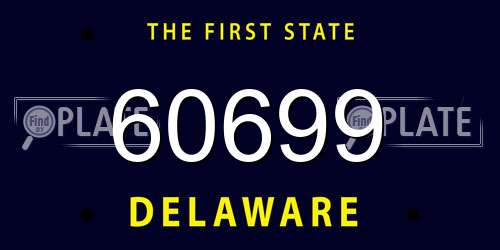 60699 Delaware License Plate