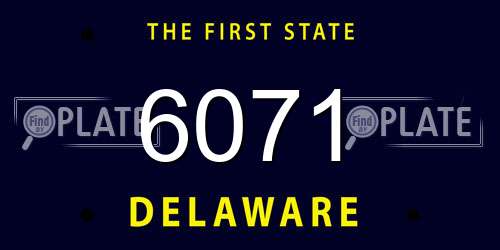 6071 Delaware License Plate
