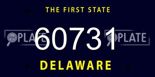 60731 Delaware License Plate