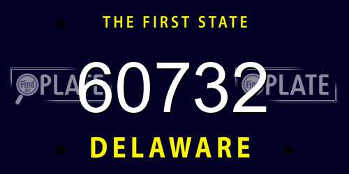 60732 Delaware License Plate