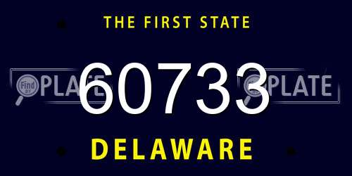 60733 Delaware License Plate