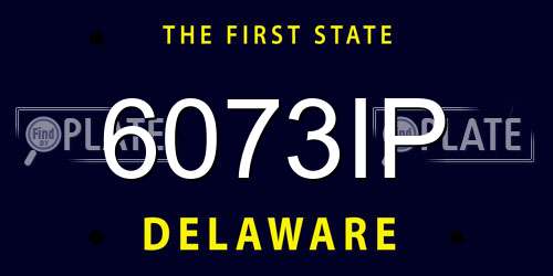6073IP Delaware License Plate