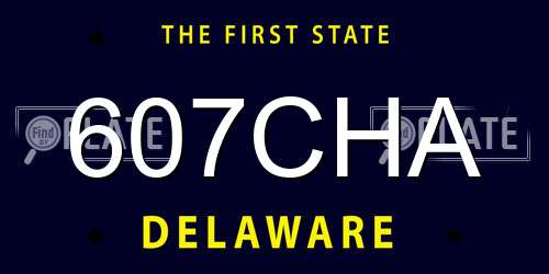 607CHA Delaware License Plate