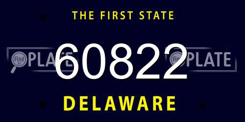 60822 Delaware License Plate