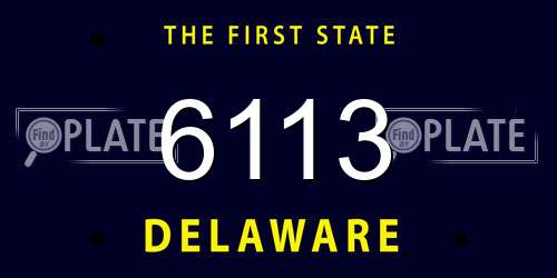 6113 Delaware License Plate