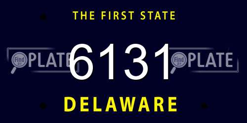 6131 Delaware License Plate