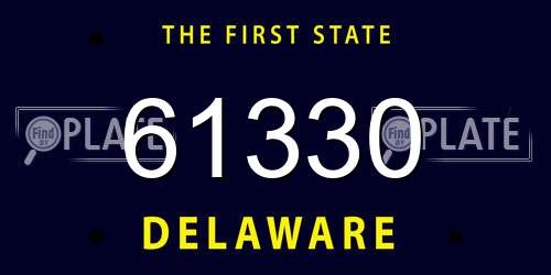 61330 Delaware License Plate