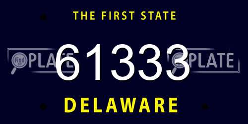 61333 Delaware License Plate