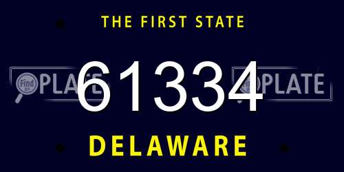 61334 Delaware License Plate