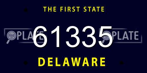 61335 Delaware License Plate